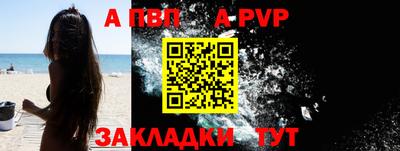 стафф Донской