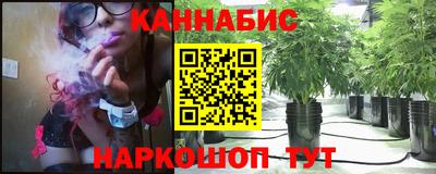 a pvp Дубна