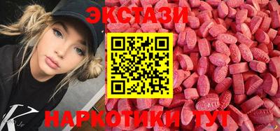 стафф Донской