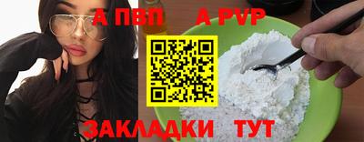 стафф Донской