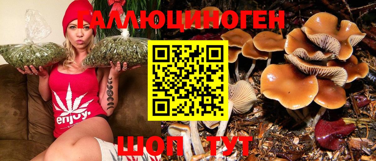 Псилоцибиновые грибы MAGIC MUSHROOMS Долгопрудный
