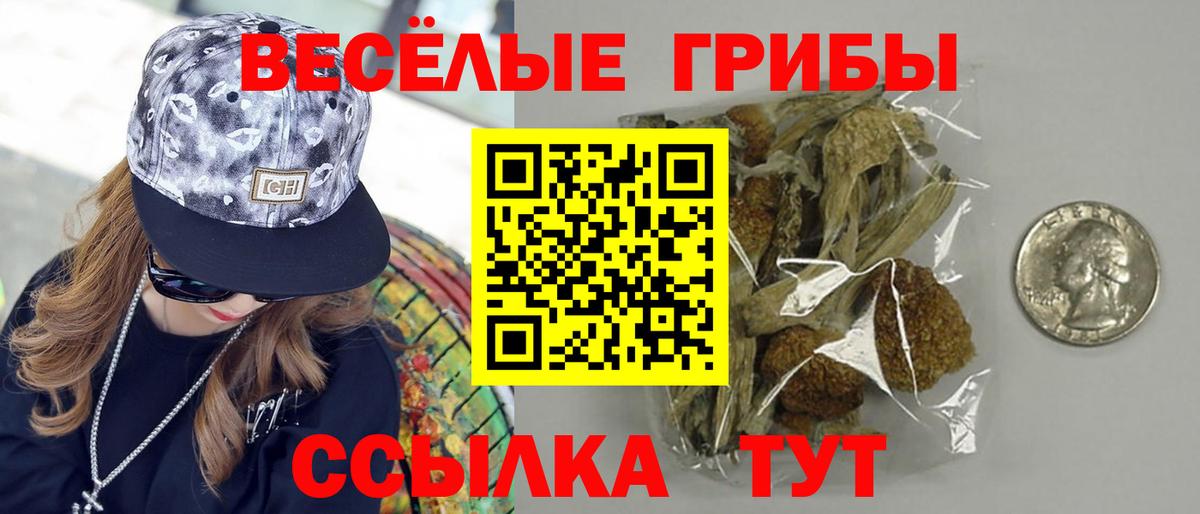 Галлюциногенные грибы Cubensis  Вход с VPN  Долгопрудный  Псилоцибиновые грибы ЛСД 